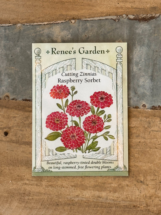 Raspberry Sorbet Zinnia Seeds