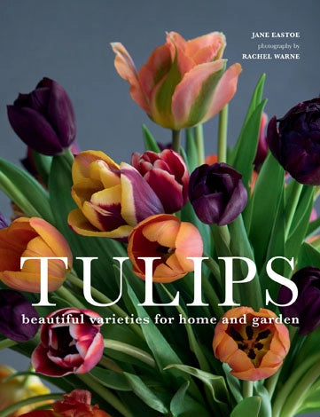 Tulips: Beautiful Varieties for Home & Garden