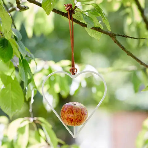 Apple Bird Feeder