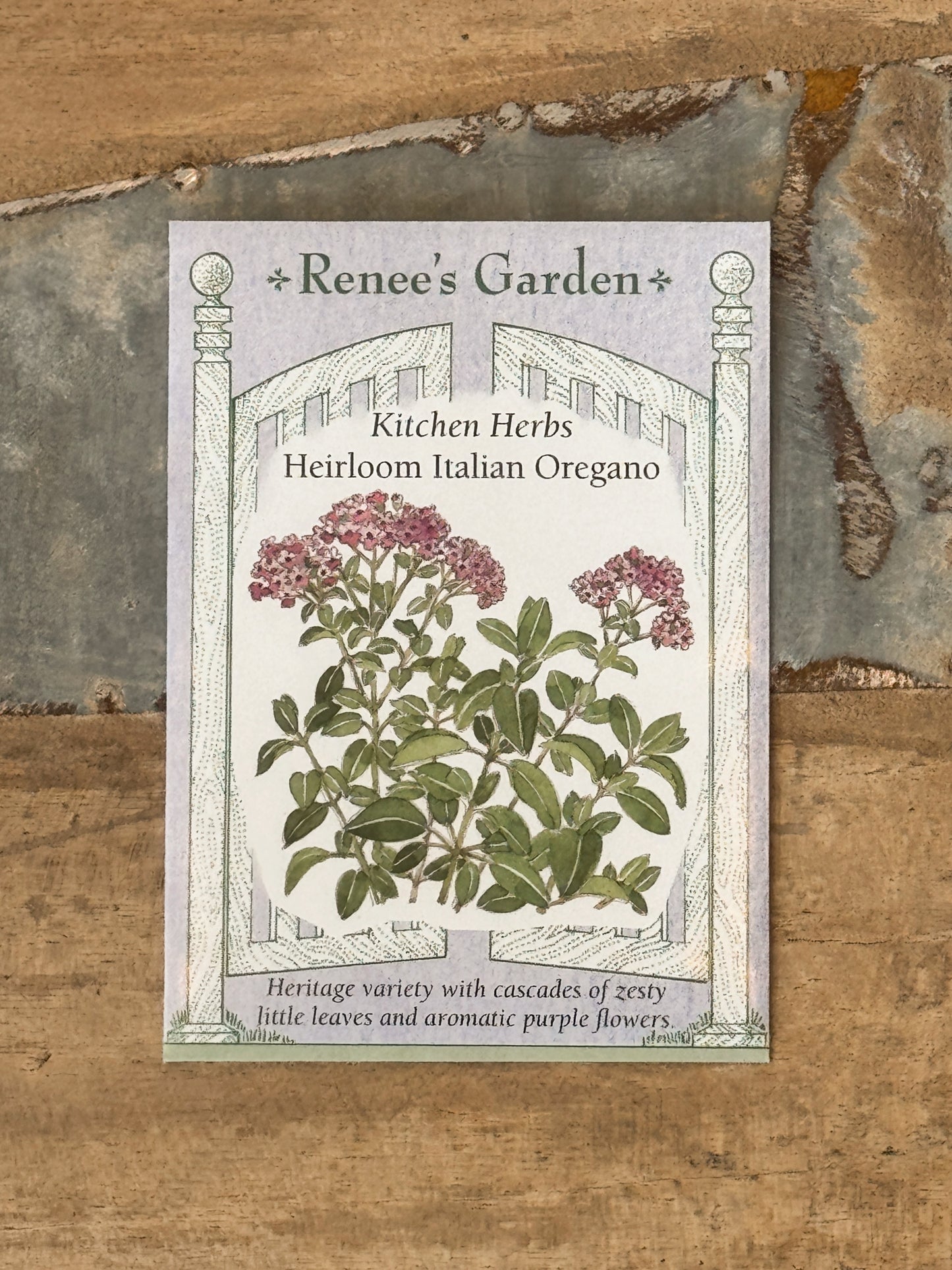 Heirloom Italian Oregano Seeds