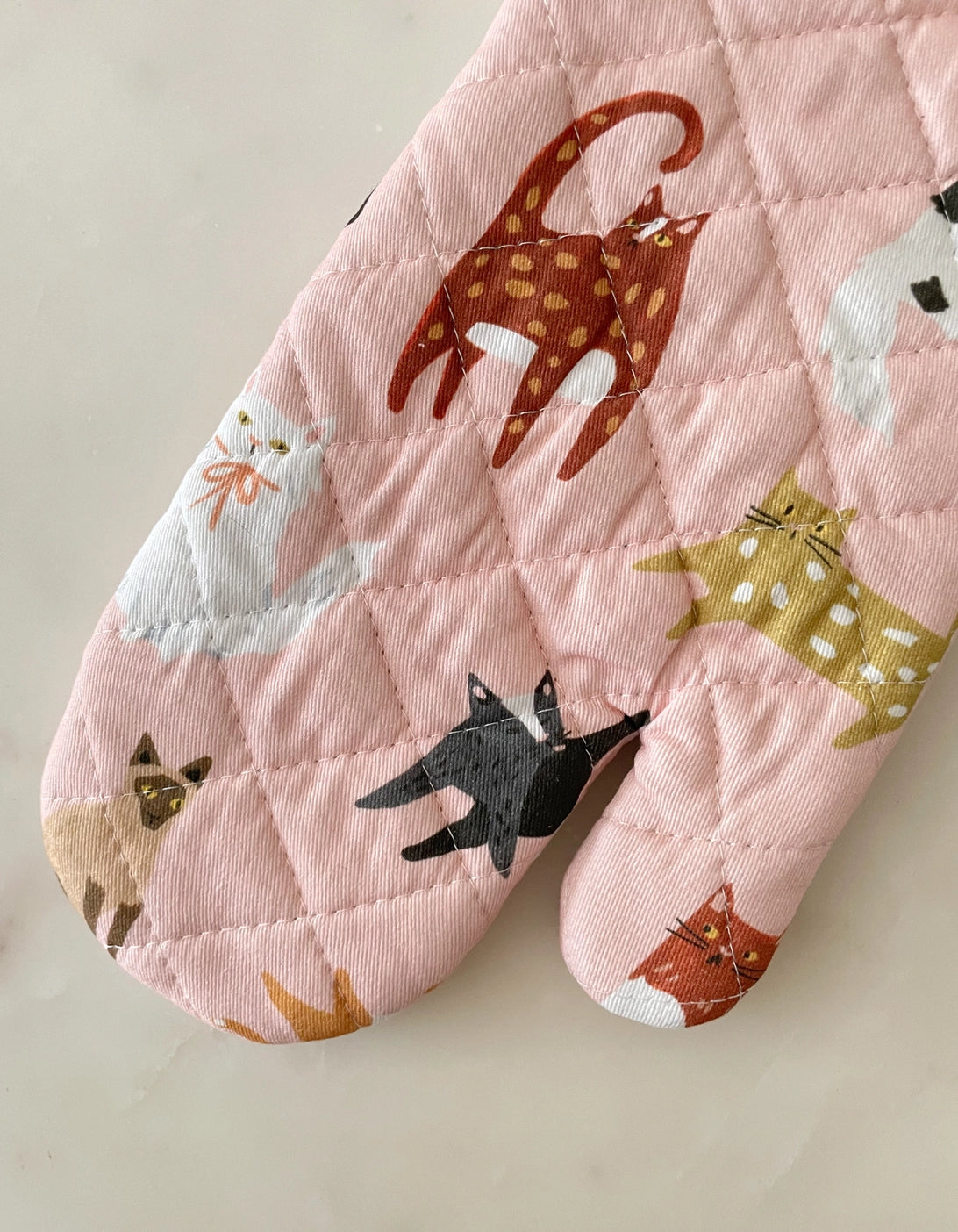 Cats Oven Mitt & Pot Holder Set